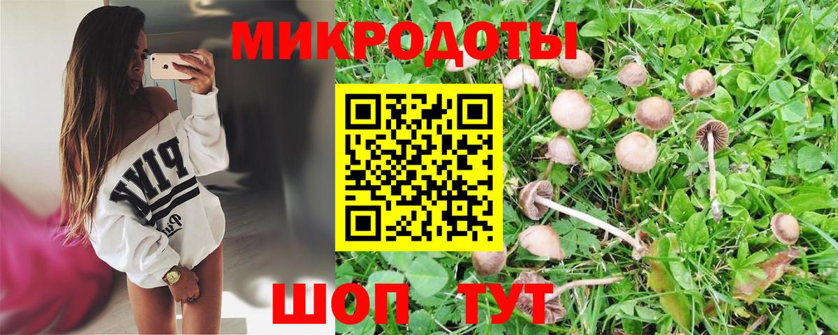 Галлюциногенные грибы Cubensis  Вход с VPN  Дальнереченск 